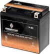 Chrome Battery YTX14-BS ATV Battery Replacement