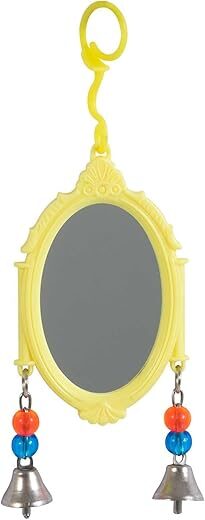 JW Activitoy Fancy Mirror Bird Toy