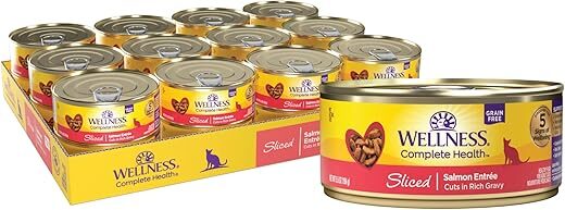 Wellness Complete Health Grain Free Canned Cat Food, Salmon, 5.5 Oz (Pack of 24)