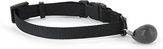 PetSafe Controlled Entry Magnetic Collar Key Alternative