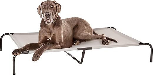 Amazon Basics Cooling Elevated Breathable Pet Bed, X-Large