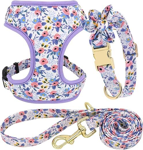 Beirui Cute Girl Dog Collar Leash Set XS