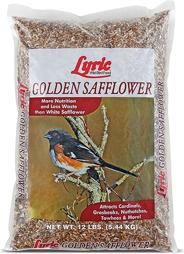 Lyric Golden Safflower Seed – Attracts Birds