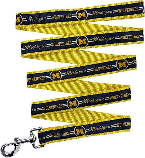Pets First Michigan Wolverines Shiny Dog Leash