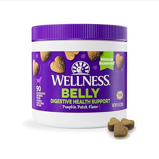 Wellness Pumpkin Flavored Digestive Supplements for Dogs