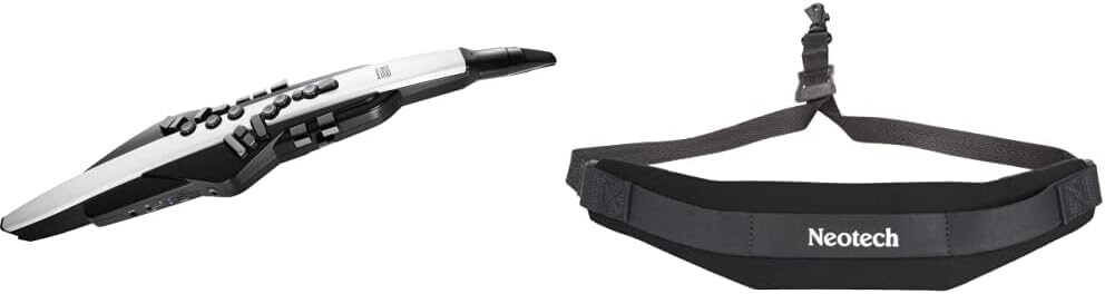 Roland Roland Digital Wind Instrument AE-20